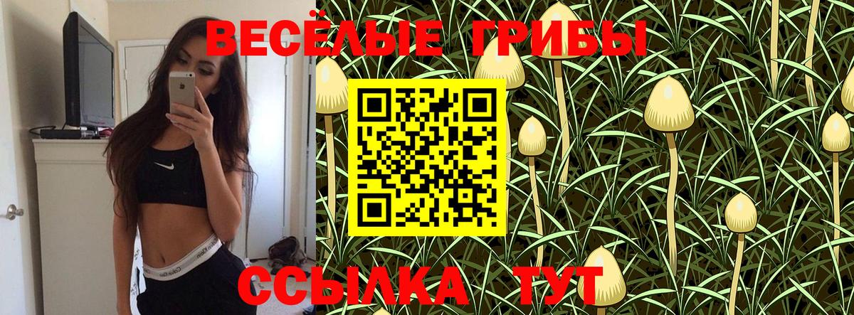 Галлюциногенные грибы Psilocybe  Галлюциногенные грибы мухоморы  Вход с VPN  Ковров 