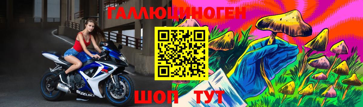 Псилоцибиновые грибы мицелий Ковров